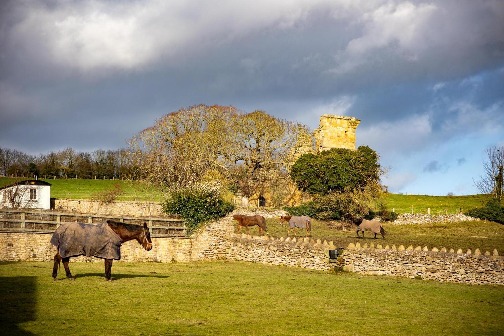 East Ayton Yew Tree Cottage מראה חיצוני תמונה
